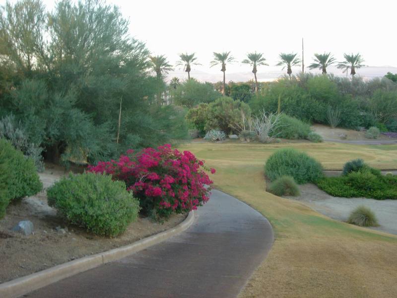 2005/10(Oct)/02(Golf-Palm-Desert)/800x600_2005-10-08-27-Desert-Willow-Morning-Walk.JPG