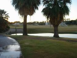 2005-10-08-24-Desert-Willow-Morning-Walk.JPG