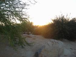 2005-10-08-25-Desert-Willow-Morning-Walk.JPG