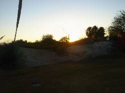 2005-10-08-29-Desert-Willow-Morning-Walk.JPG