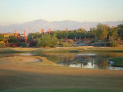 2005-10-08-30-Desert-Willow-Morning-Walk.JPG