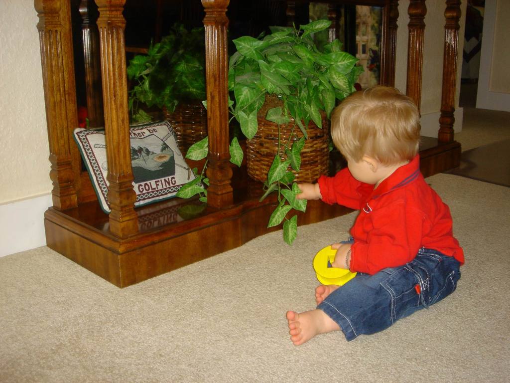 2005/10(Oct)/03(Ian)/1024x768_2005-10-28-17-Ian-7-months.JPG