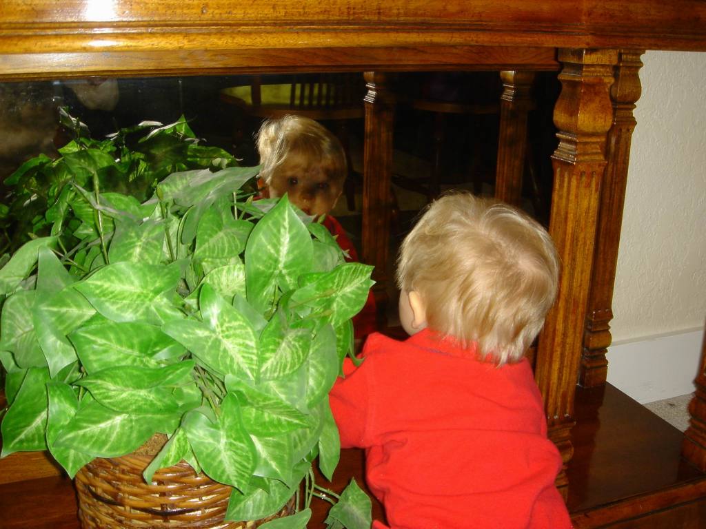 2005/10(Oct)/03(Ian)/1024x768_2005-10-28-23-Ian-7-months.JPG