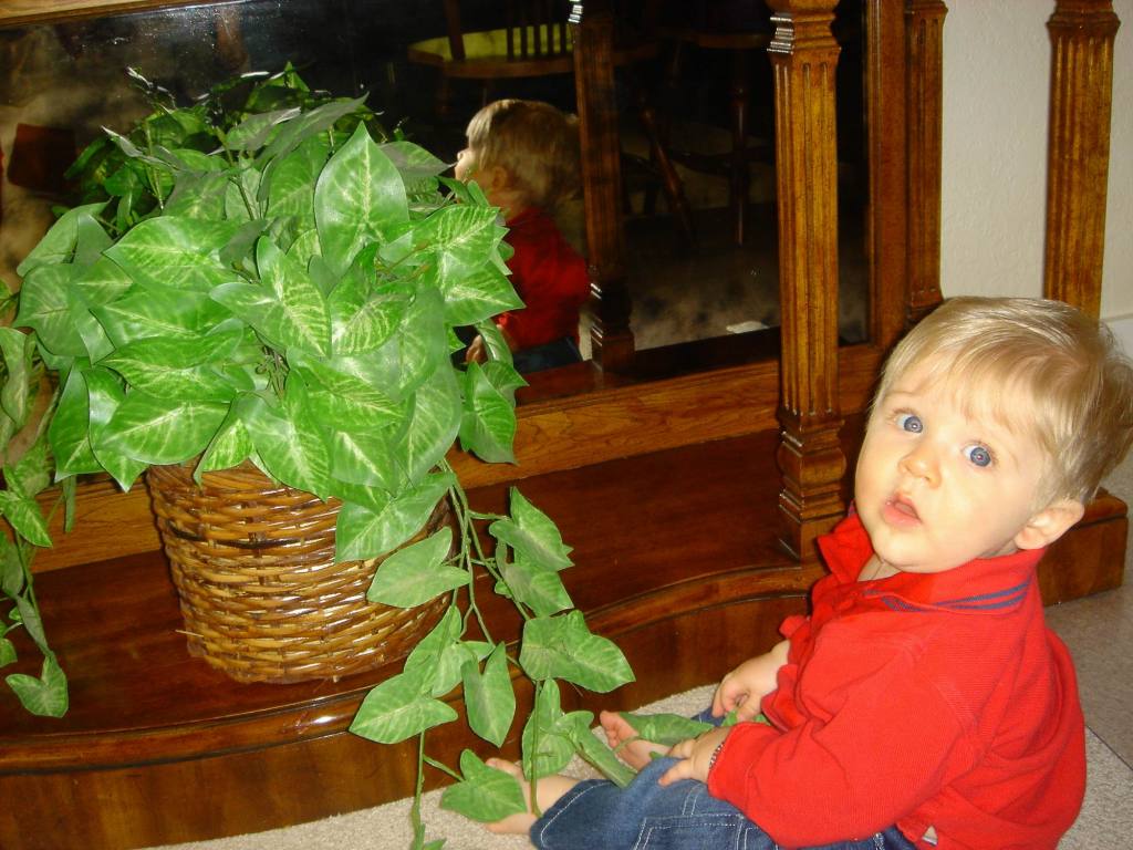 2005/10(Oct)/03(Ian)/1024x768_2005-10-28-24-Ian-7-months.JPG