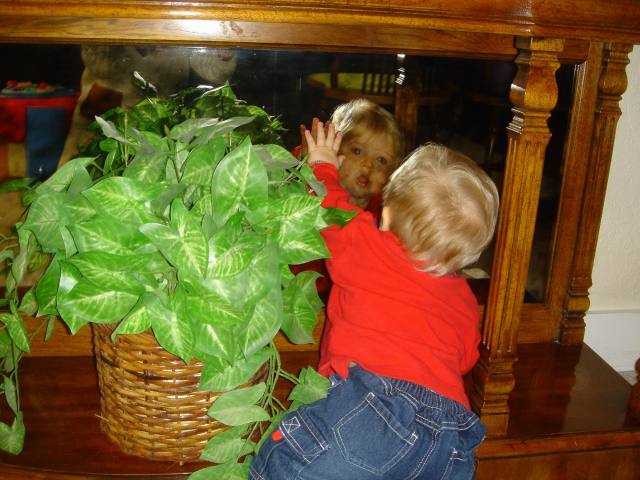 2005/10(Oct)/03(Ian)/640x480_2005-10-28-20-Ian-7-months.JPG