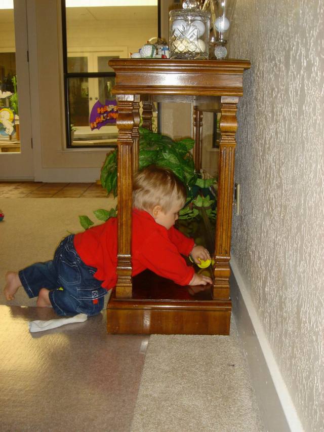 2005/10(Oct)/03(Ian)/640x480_2005-10-28-22-Ian-7-months.JPG
