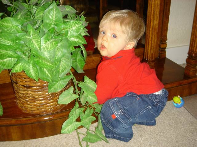 2005/10(Oct)/03(Ian)/640x480_2005-10-28-25-Ian-7-months.JPG