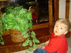 2005-10-28-24-Ian-7-months.JPG