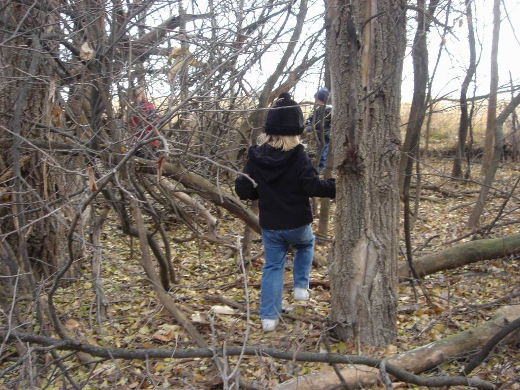 2005/11(Nov)/02(Dodd-Farm)/1024x768_2005-11-05-04-Farm.JPG