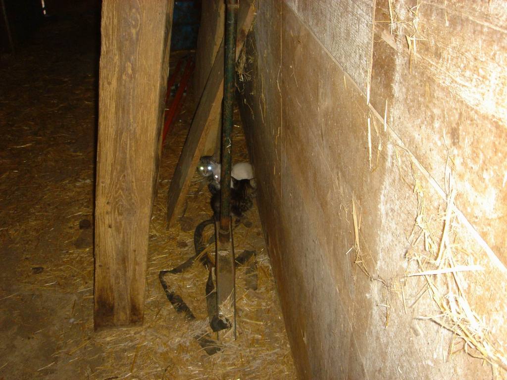 2005-11-05-17-Farm.JPG