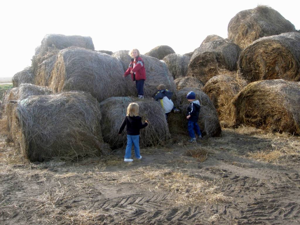 2005/11(Nov)/02(Dodd-Farm)/1024x768_2005-11-05-20-Farm.JPG