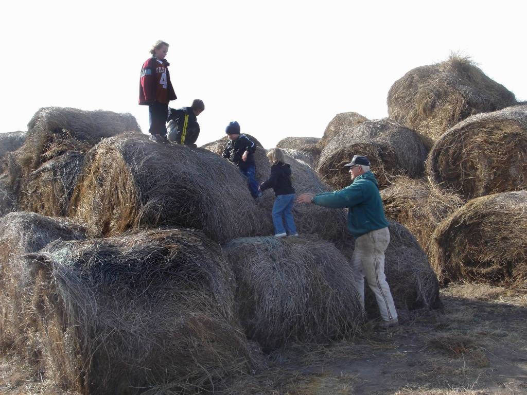 2005/11(Nov)/02(Dodd-Farm)/1024x768_2005-11-05-21-Farm.JPG