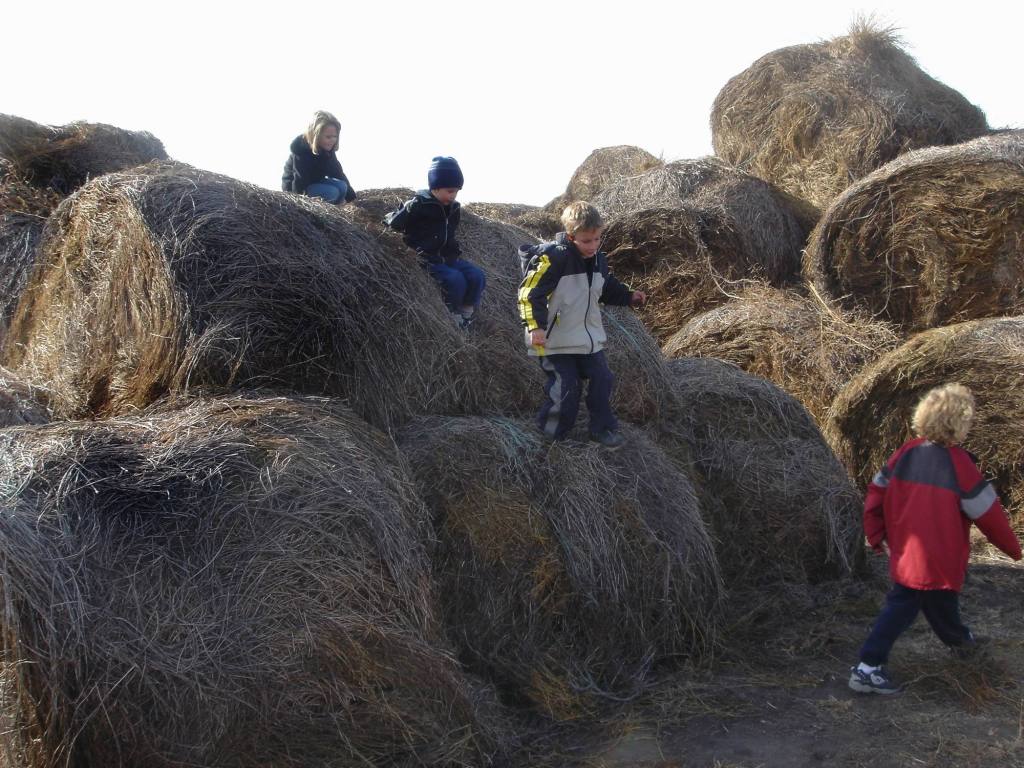 2005/11(Nov)/02(Dodd-Farm)/1024x768_2005-11-05-23-Farm.JPG