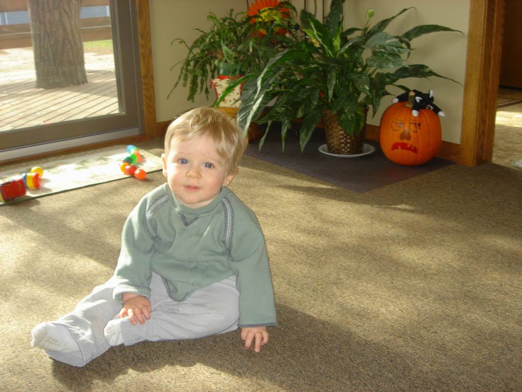2005/11(Nov)/02(Dodd-Farm)/1024x768_2005-11-05-26-Farm.JPG
