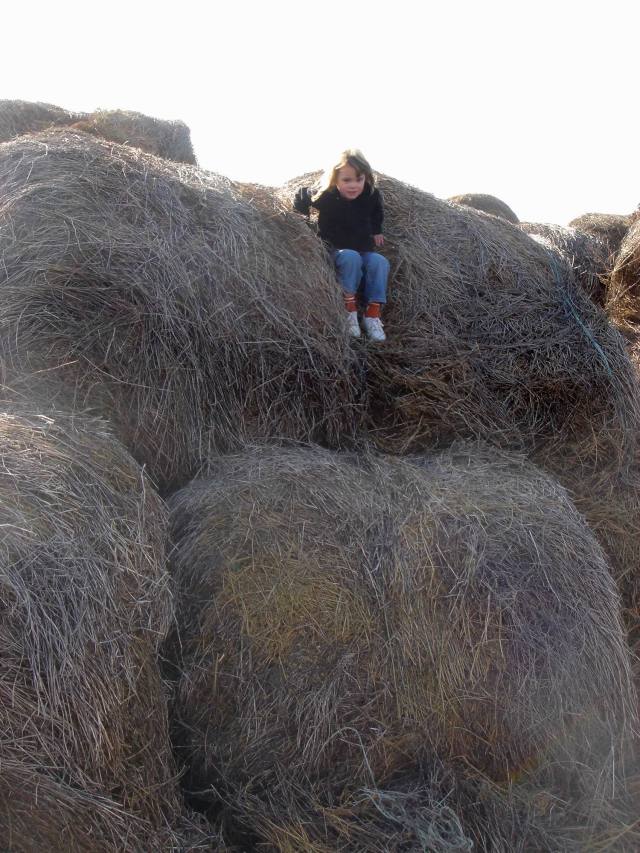 2005/11(Nov)/02(Dodd-Farm)/640x480_2005-11-05-24-Farm.JPG