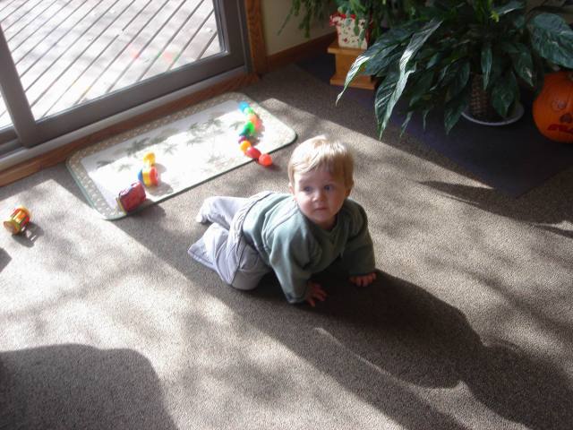 2005/11(Nov)/02(Dodd-Farm)/640x480_2005-11-05-25-Farm.JPG