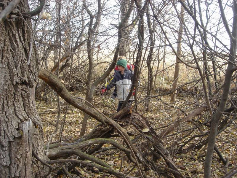 2005/11(Nov)/02(Dodd-Farm)/800x600_2005-11-05-03-Farm.JPG