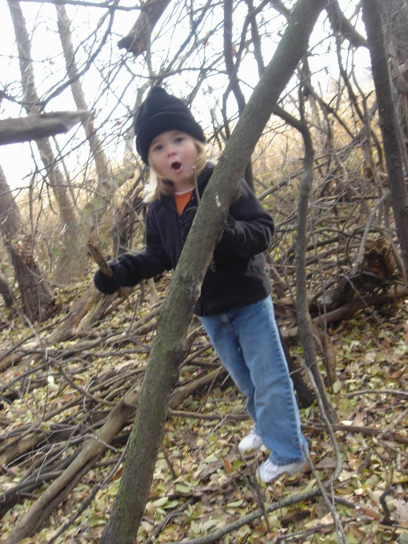 2005/11(Nov)/02(Dodd-Farm)/800x600_2005-11-05-06-Farm.JPG
