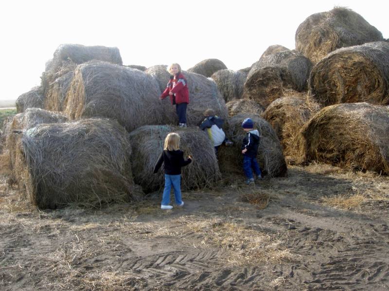 2005/11(Nov)/02(Dodd-Farm)/800x600_2005-11-05-20-Farm.JPG