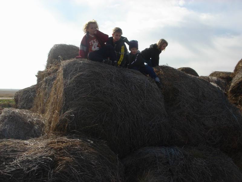 2005/11(Nov)/02(Dodd-Farm)/800x600_2005-11-05-22-Farm.JPG