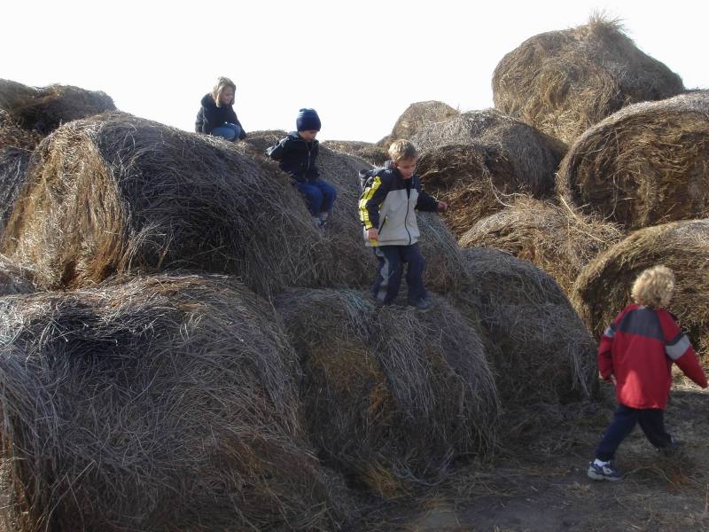 2005/11(Nov)/02(Dodd-Farm)/800x600_2005-11-05-23-Farm.JPG
