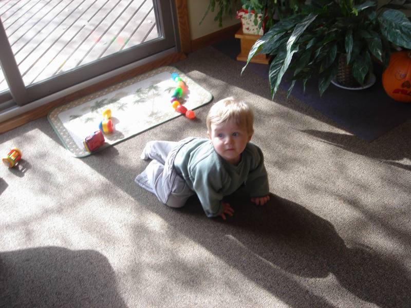 2005/11(Nov)/02(Dodd-Farm)/800x600_2005-11-05-25-Farm.JPG
