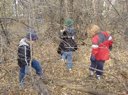 2005-11-05-07-Farm.JPG