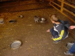 2005-11-05-16-Farm.JPG