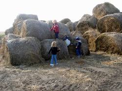 2005-11-05-20-Farm.JPG