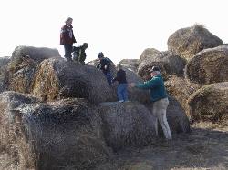 2005-11-05-21-Farm.JPG