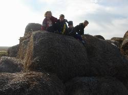2005-11-05-22-Farm.JPG