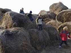 2005-11-05-23-Farm.JPG