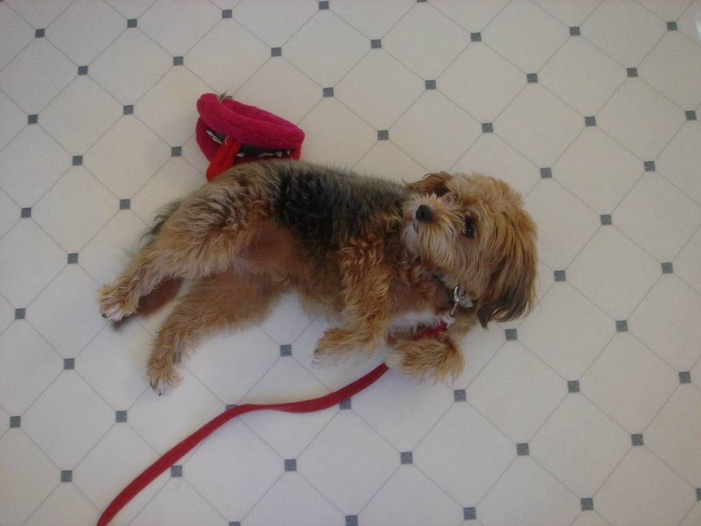 2005/11(Nov)/04(Willmar-MN-Dan-Lisa)/1024x768_2005-11-06-04-Snickers.JPG