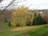 2005/11(Nov)/04(Willmar-MN-Dan-Lisa)/2005-11-06-00-Dans-backyard.JPG