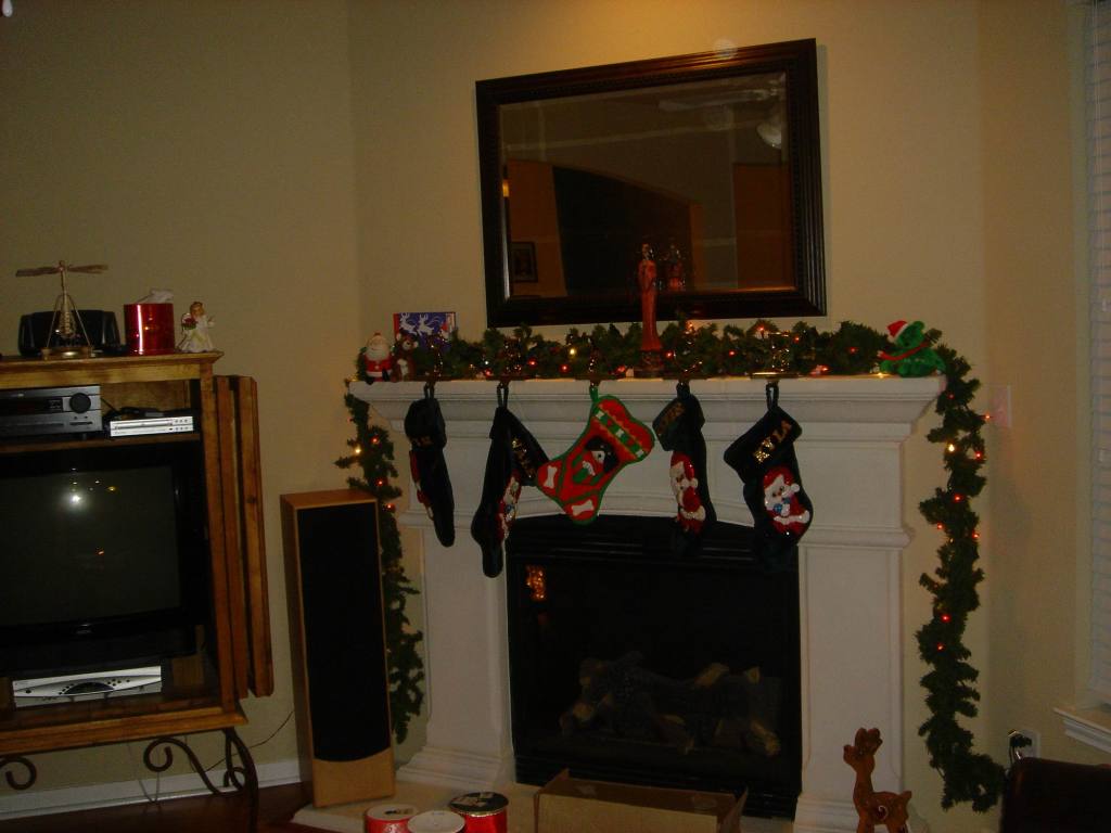 2005/12(Dec)/01(Christmas-Lights)/01(Justin-SteinerRanch)/1024x768_2005-12-04-20.JPG