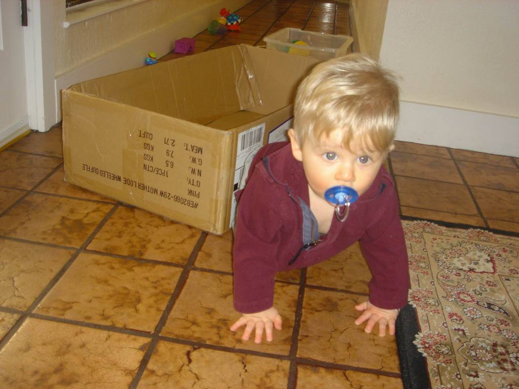 2006/01(Jan)/01(Misc)/1024x768_2006-01-06-03-Ian.JPG