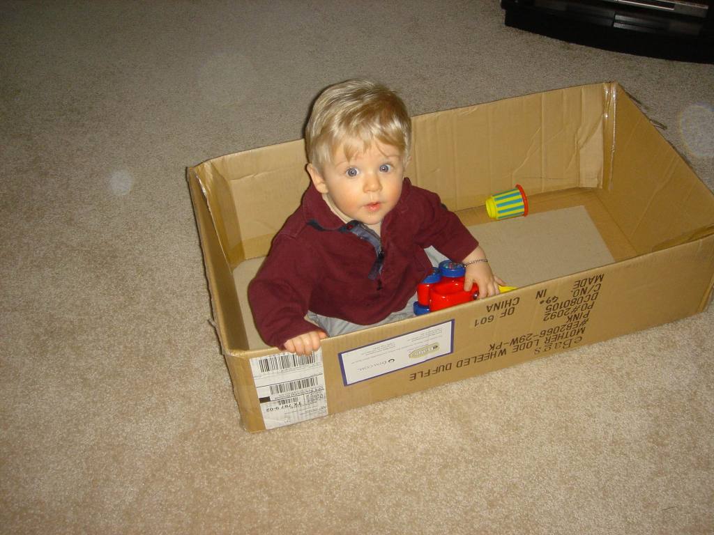 2006/01(Jan)/01(Misc)/1024x768_2006-01-06-10-Ian.JPG