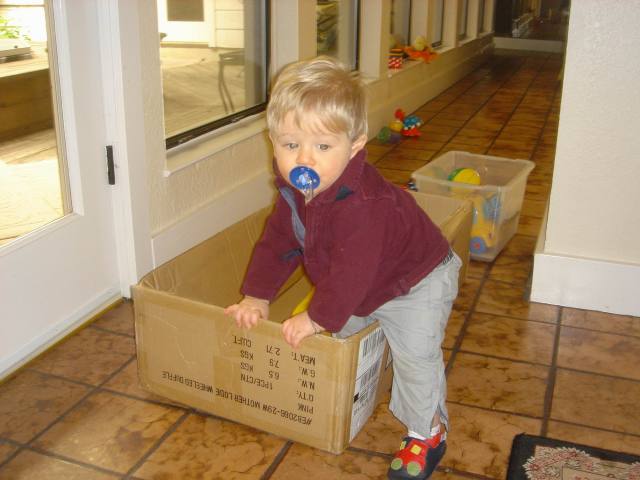2006/01(Jan)/01(Misc)/640x480_2006-01-06-02-Ian.JPG
