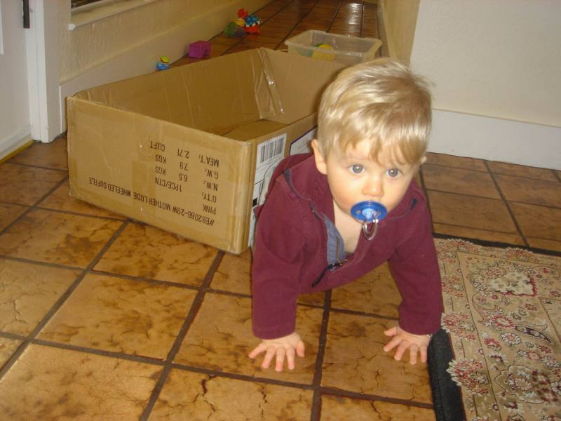 2006/01(Jan)/01(Misc)/800x600_2006-01-06-03-Ian.JPG