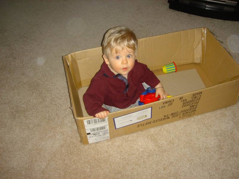 2006/01(Jan)/01(Misc)/800x600_2006-01-06-10-Ian.JPG