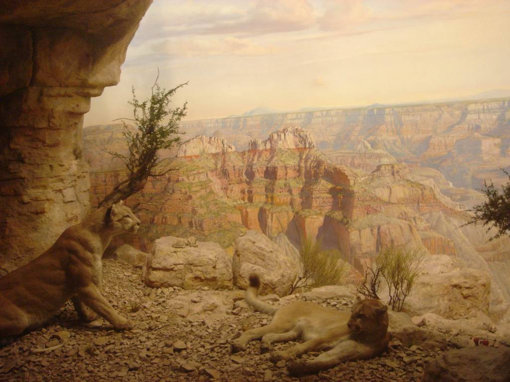2006/01(Jan)/04(NYC)/1024x768_2006-01-27-09-Museum.JPG