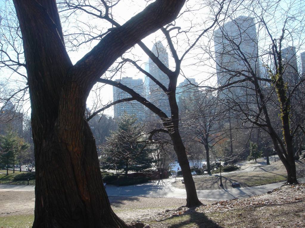 2006/01(Jan)/04(NYC)/1024x768_2006-01-27-10-Central-Park.JPG