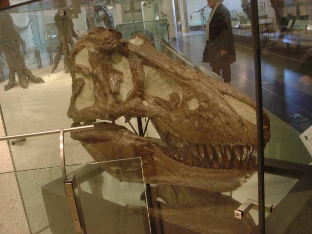 2006/01(Jan)/04(NYC)/640x480_2006-01-27-05-Museum.JPG