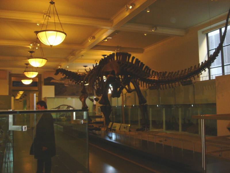 2006/01(Jan)/04(NYC)/800x600_2006-01-27-06-Museum.JPG