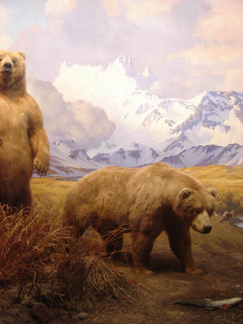 2006/01(Jan)/04(NYC)/800x600_2006-01-27-08-Museum.JPG