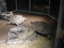 2006-01-27-04-Museum.JPG