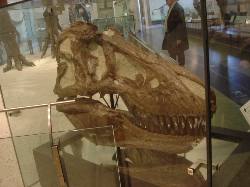 2006-01-27-05-Museum.JPG
