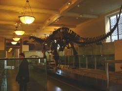 2006-01-27-06-Museum.JPG
