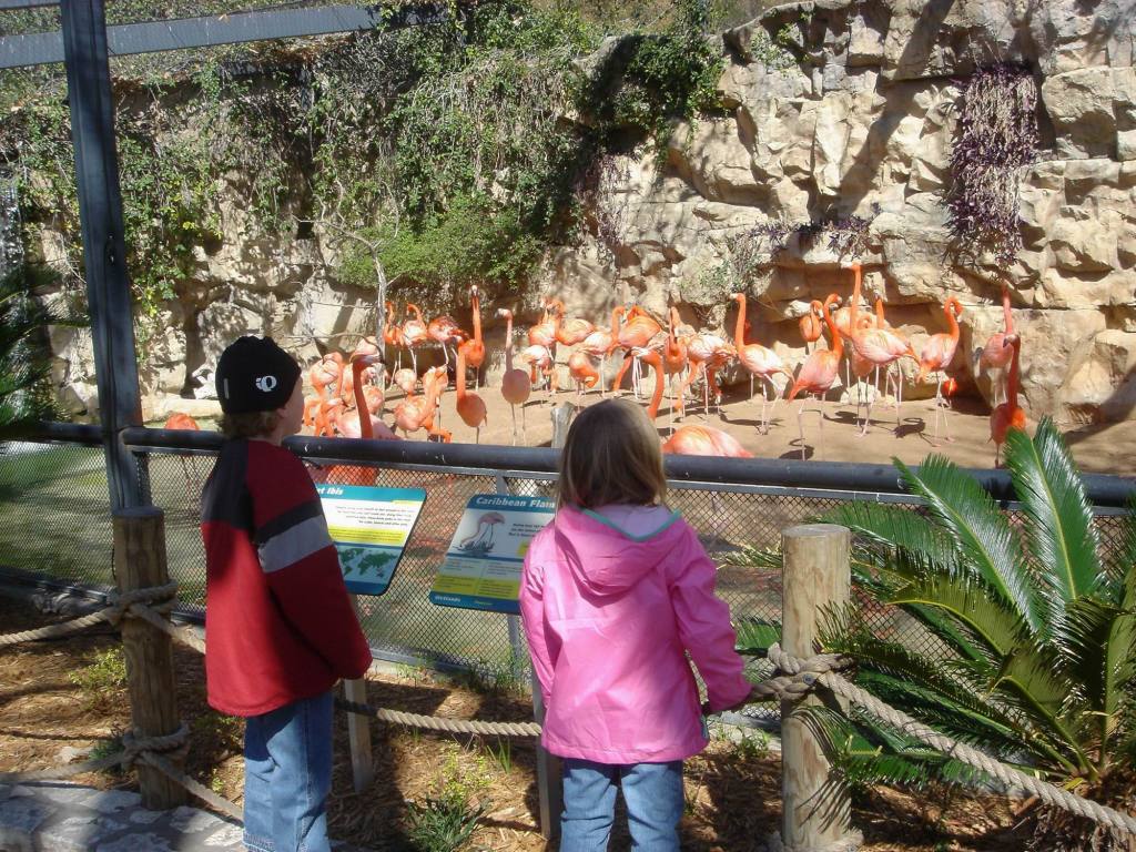 2006/02(Feb)/03(Zoo-Vale-Kyla)/2006-02-11-SanAntonio-Zoo09.JPG