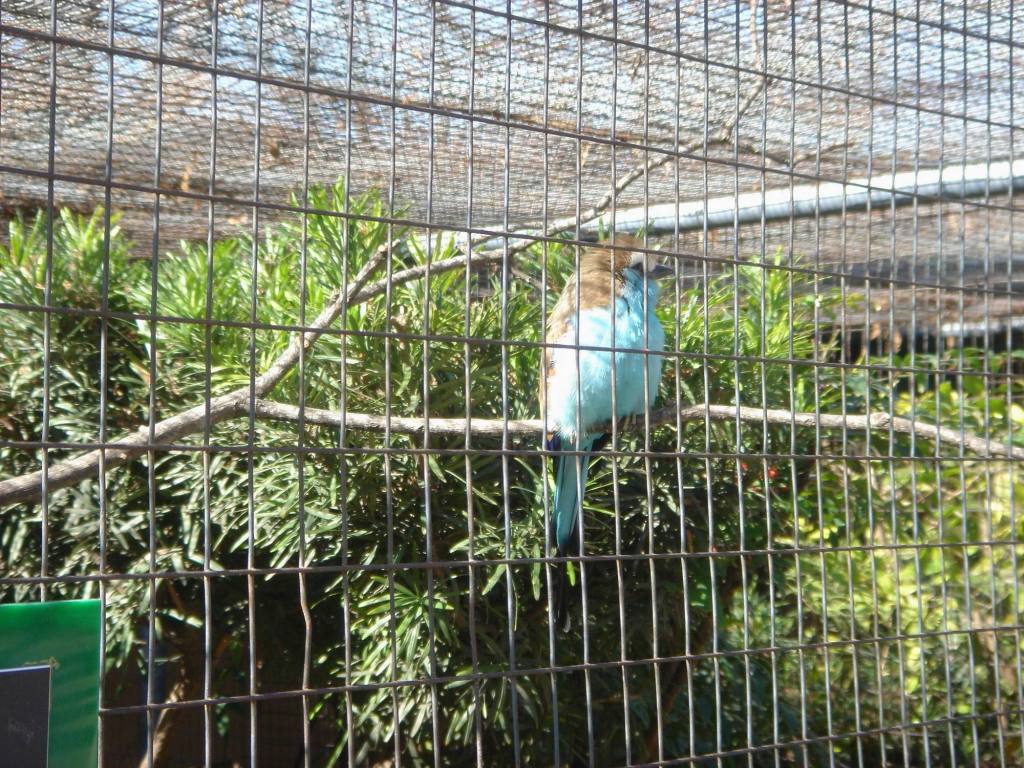 2006/02(Feb)/03(Zoo-Vale-Kyla)/1024x768_2006-02-11-SanAntonio-Zoo25.JPG